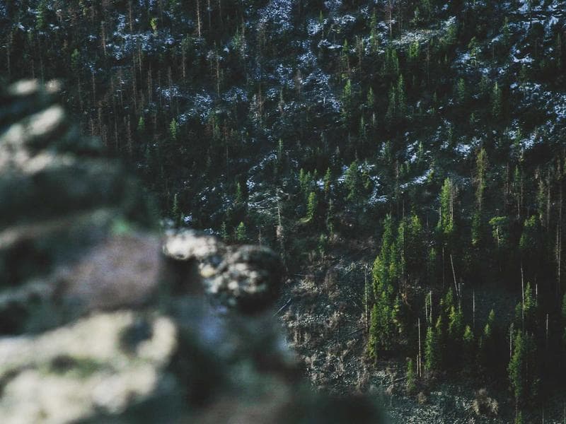 Luxury 5-Bedroom Mansion 3